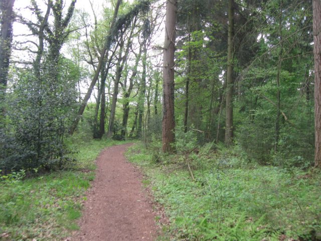img_7508.jpg
