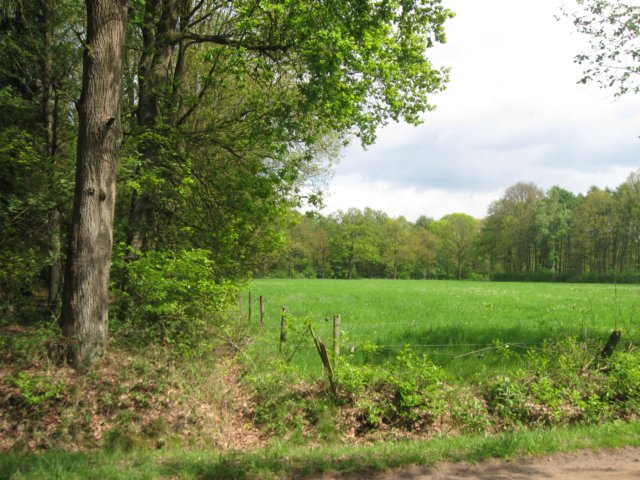 img_7513.jpg