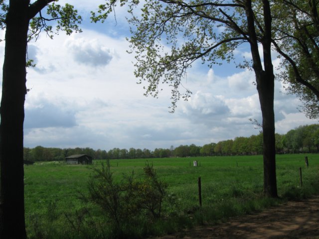 img_7515.jpg