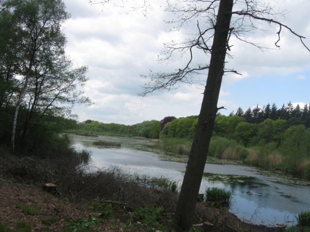 img_7536.jpg