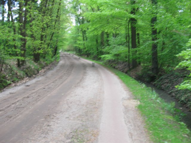 img_7537.jpg
