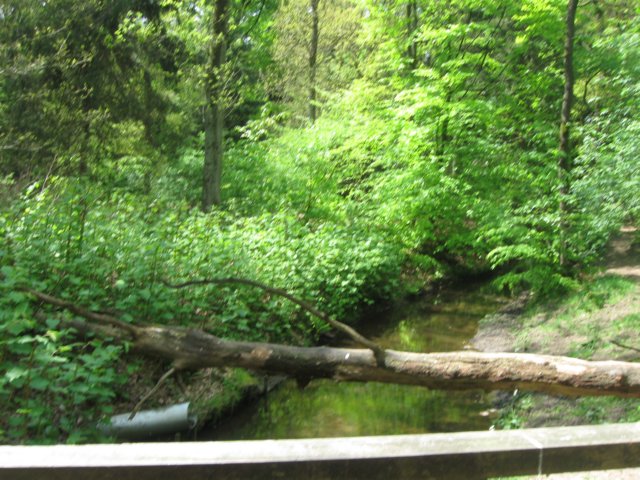img_7544.jpg