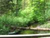 img_7544_small.jpg
