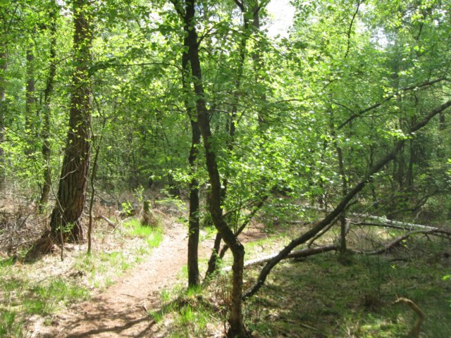 img_7545.jpg