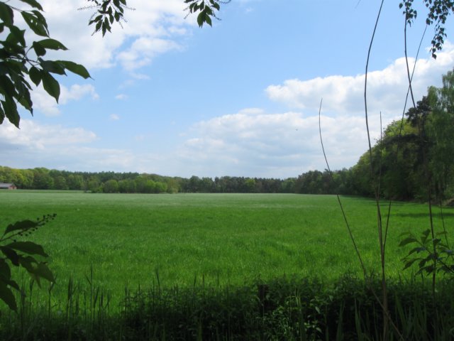 img_7546.jpg