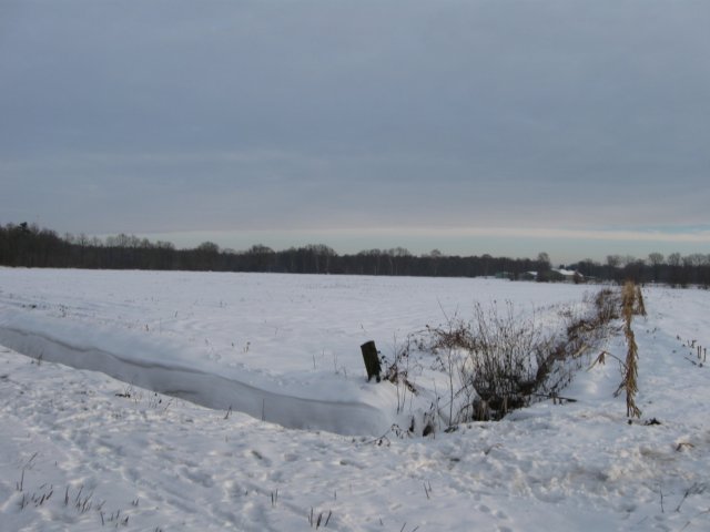 img_9271.jpg
