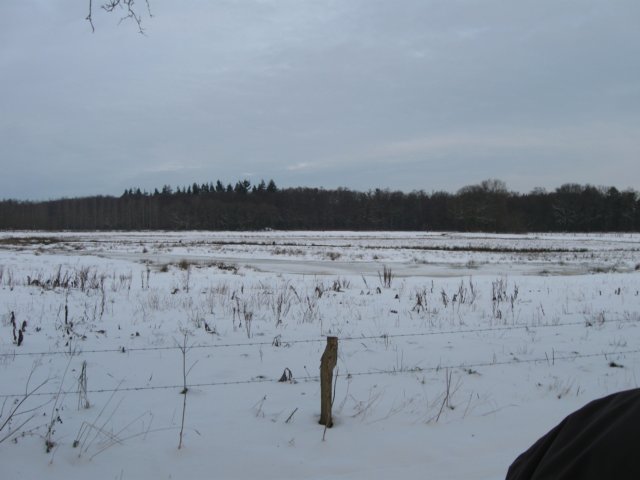 img_9273.jpg