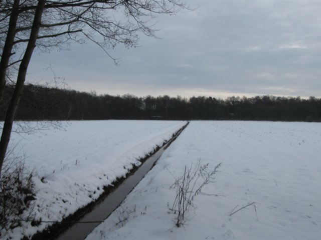 img_9278.jpg