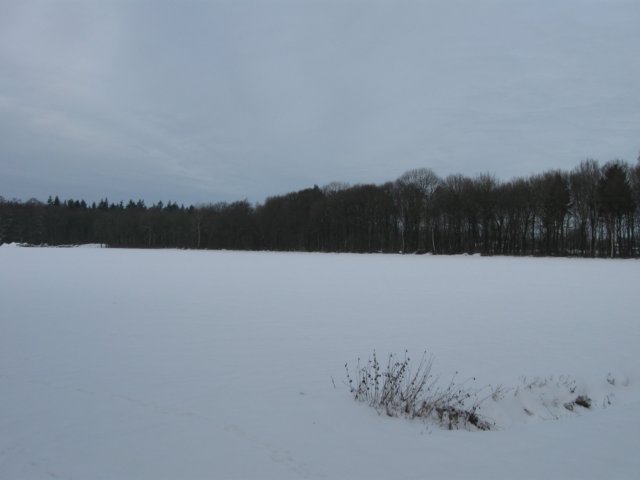 img_9279.jpg