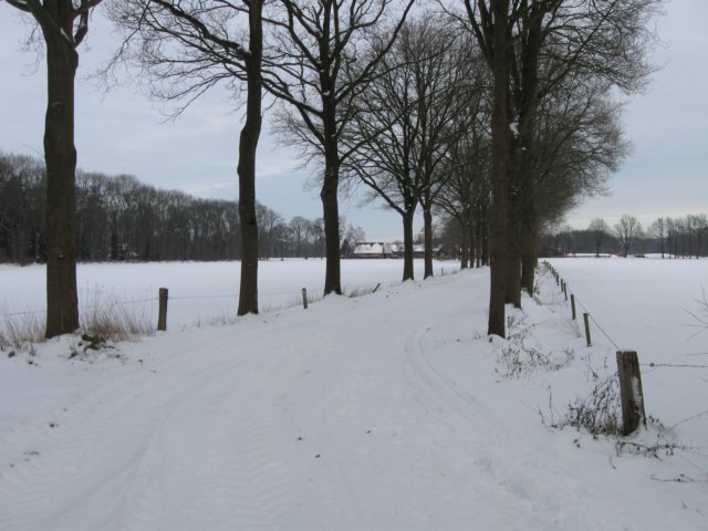 img_9281.jpg