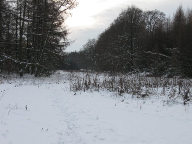 img_9282.jpg