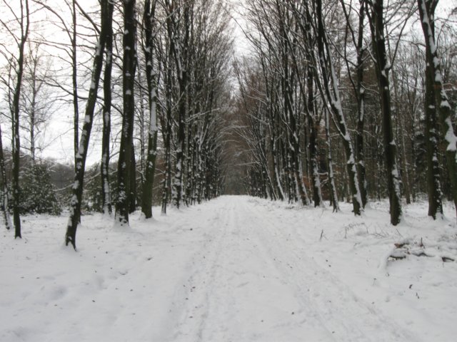 img_9283.jpg