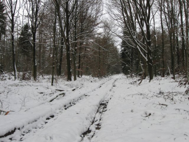 img_9284.jpg