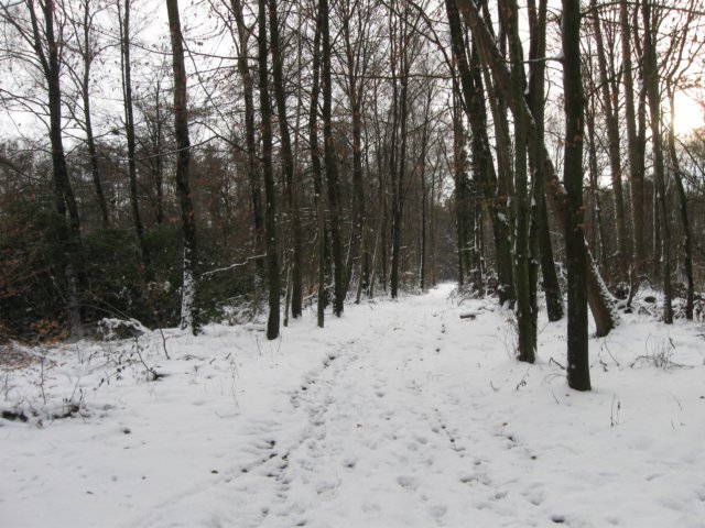 img_9285.jpg