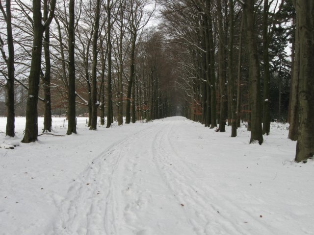 img_9287.jpg