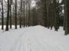 img_9287_small.jpg