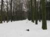 img_9288_small.jpg