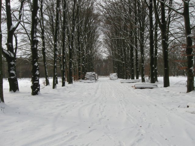 img_9289.jpg