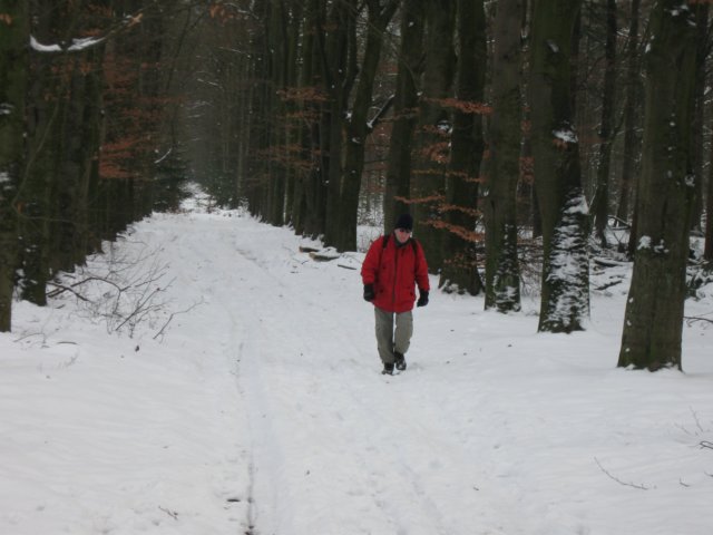 img_9290.jpg