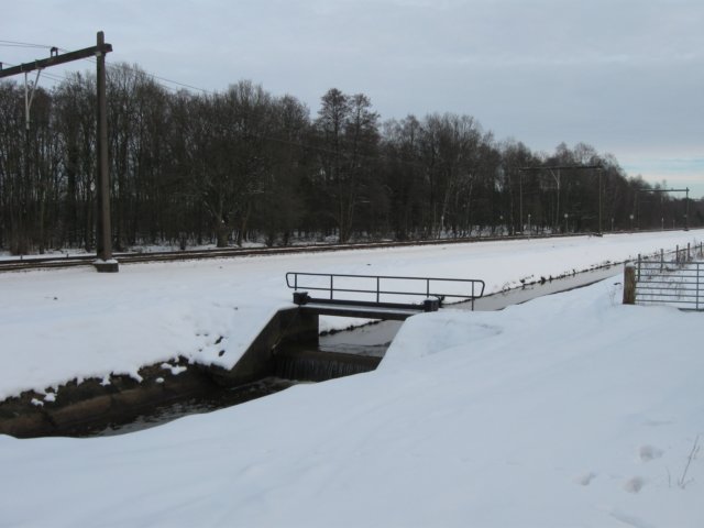 img_9291.jpg