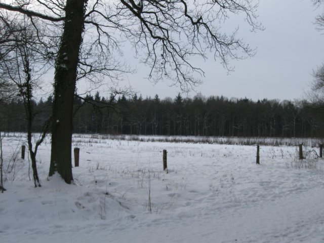 img_9293.jpg