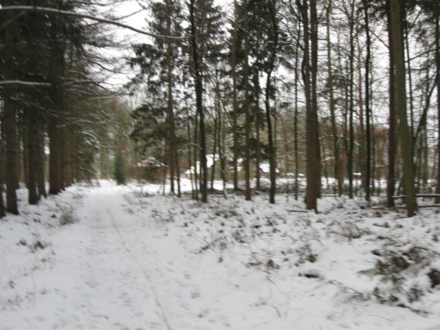 img_9294.jpg