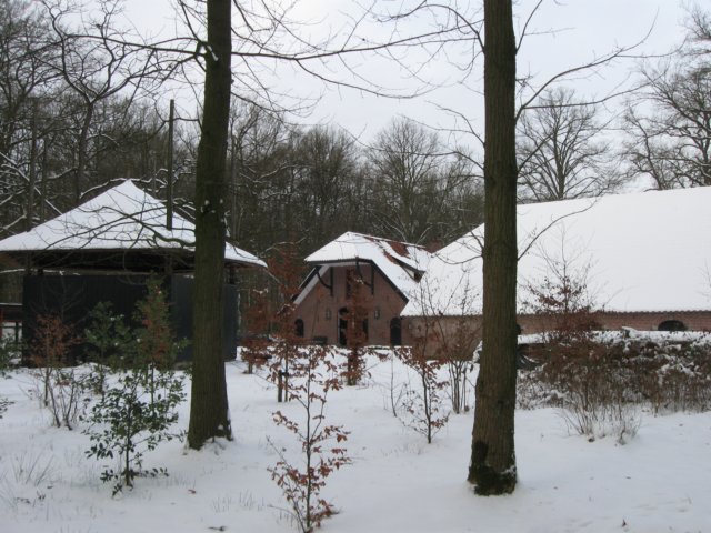 img_9295.jpg