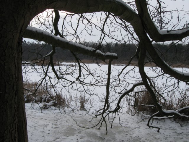 img_9296.jpg