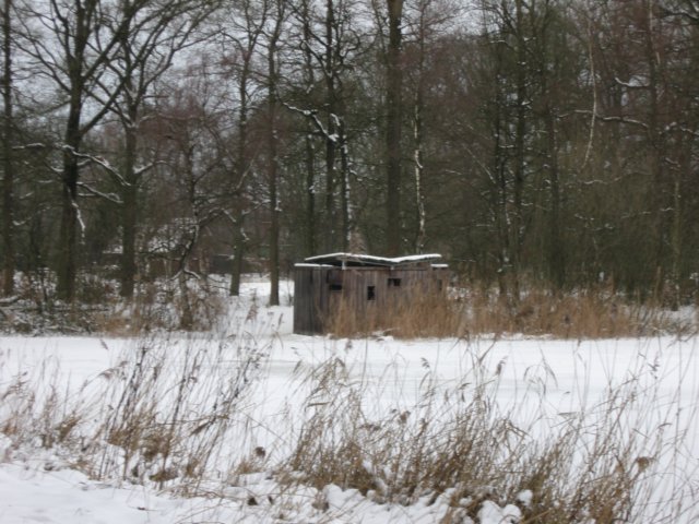img_9300.jpg