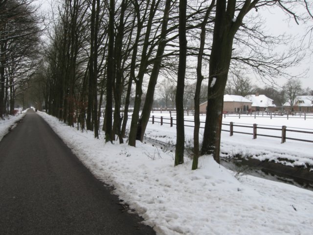 img_9302.jpg