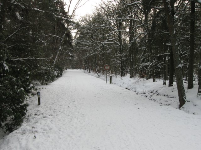 img_9304.jpg