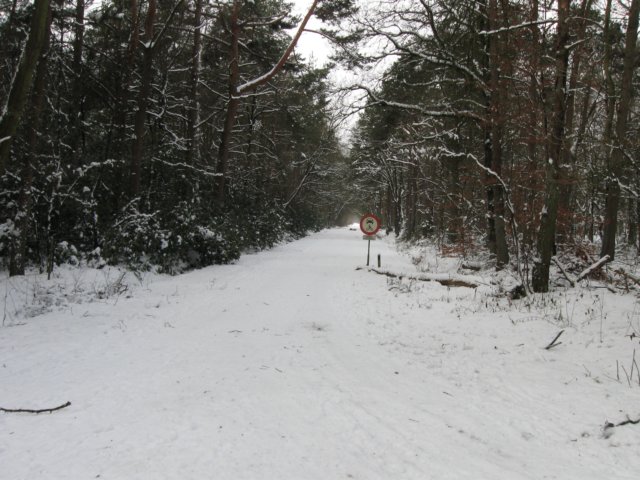 img_9305.jpg