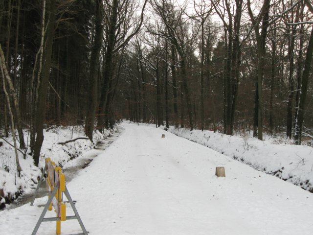 img_9306.jpg