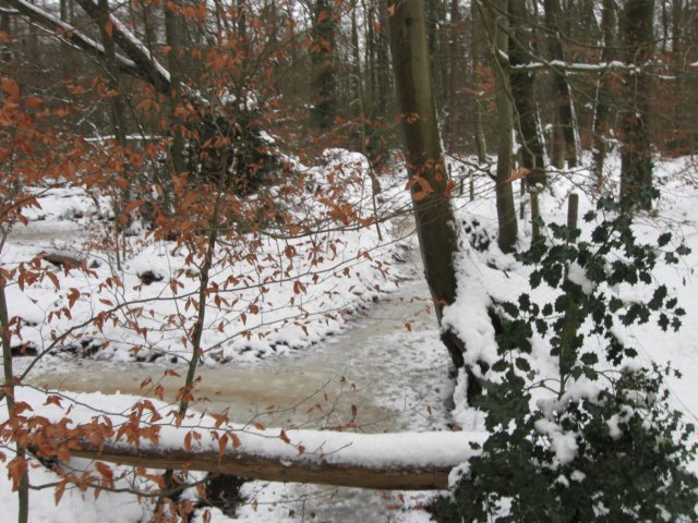 img_9310.jpg