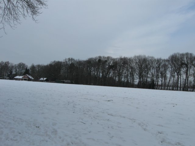 img_9311.jpg