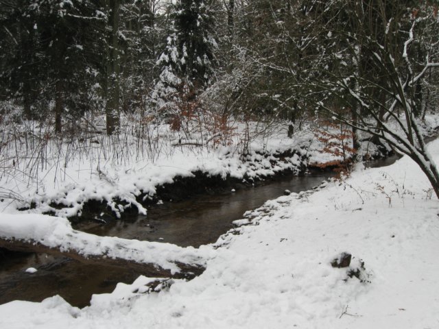 img_9313.jpg