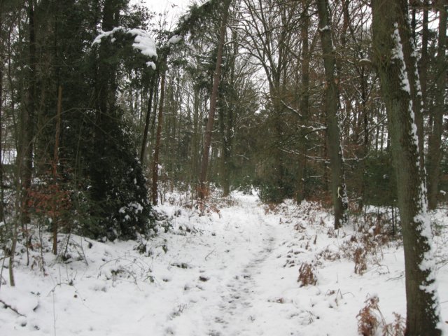 img_9315.jpg