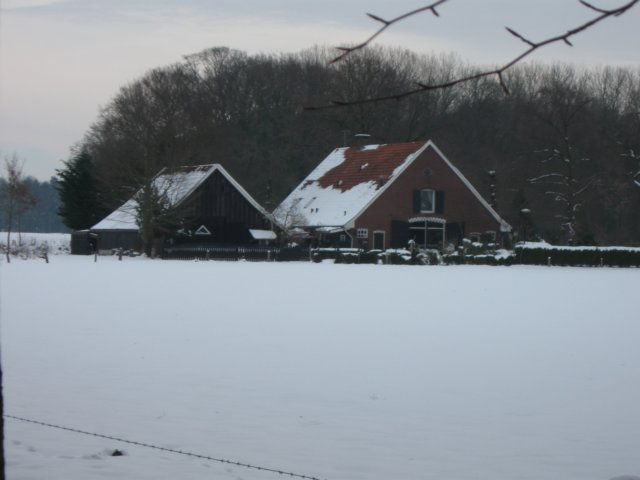 img_9316.jpg
