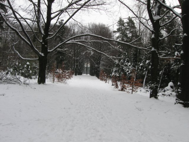 img_9319.jpg