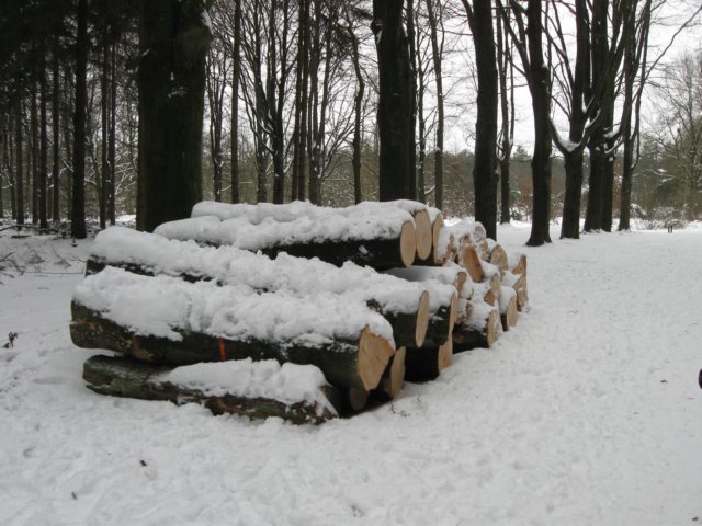 img_9320.jpg