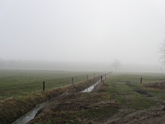 img_6222.jpg
