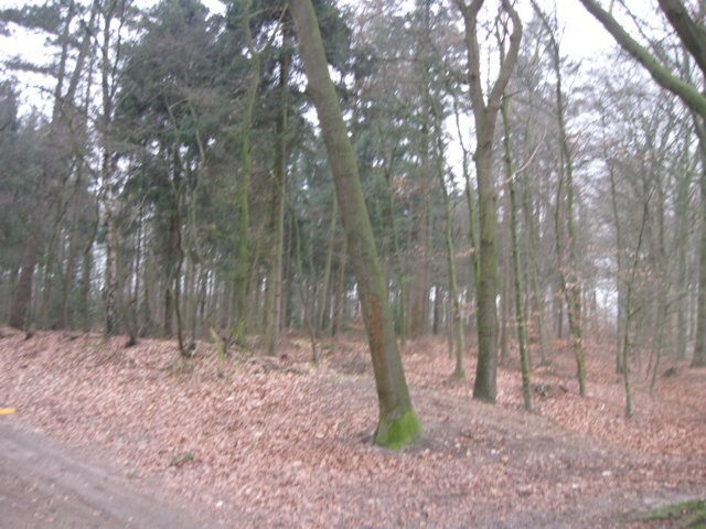 img_6378.jpg