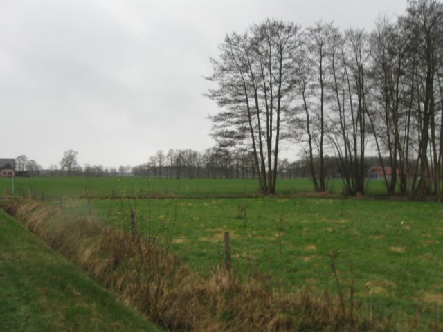 img_7024.jpg