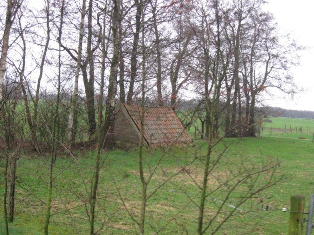 img_7025.jpg