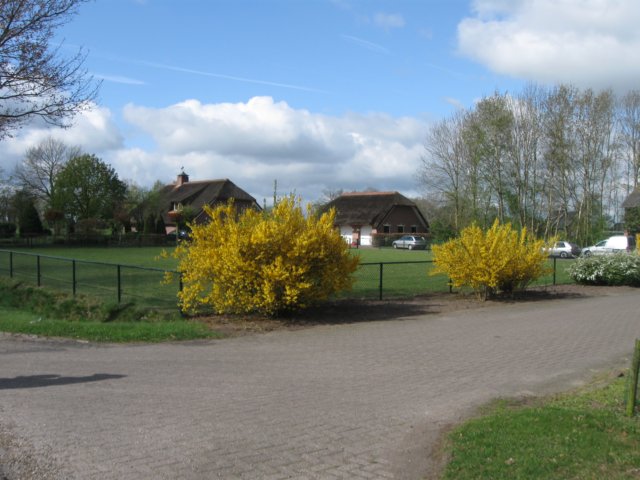 img_7361.jpg