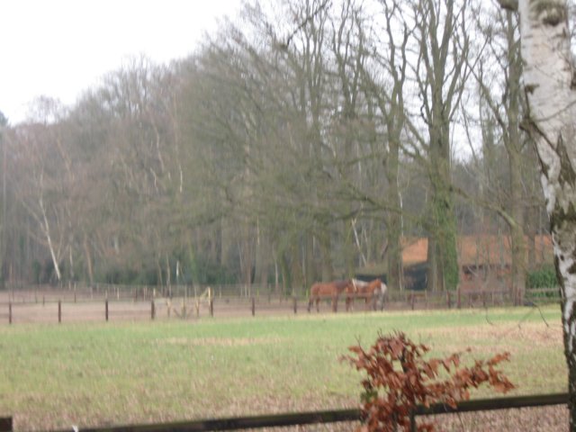 img_5740.jpg