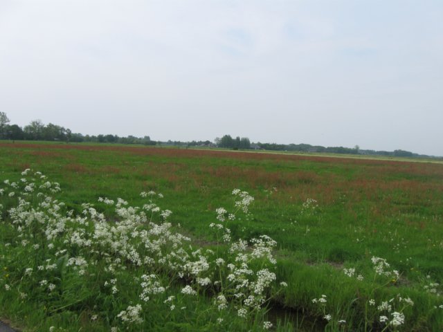 img_7607.jpg