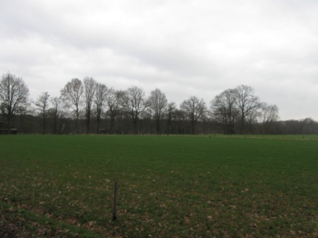 img_7047.jpg