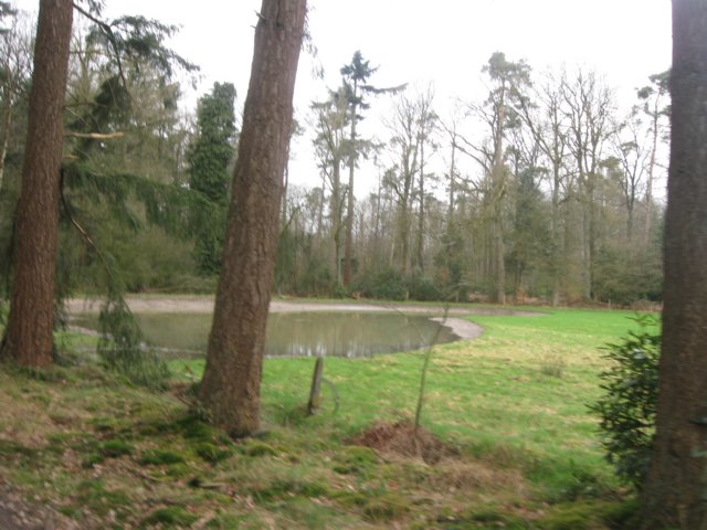 img_7062.jpg