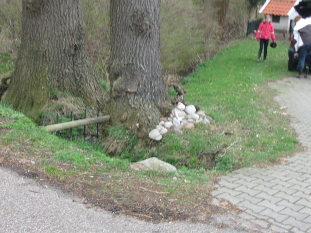 img_7102.jpg